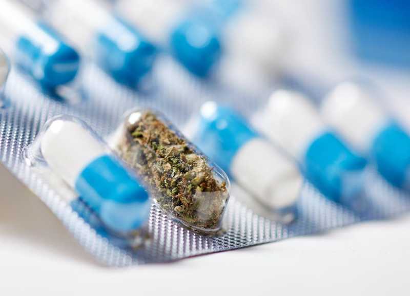 Big Pharma Sets Its Sights on Legal Cannabis