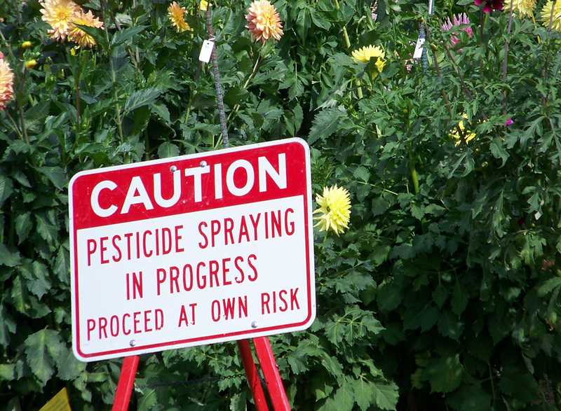 Canada’s Dirty Little Secret: Pesticides in Medicinal Cannabis