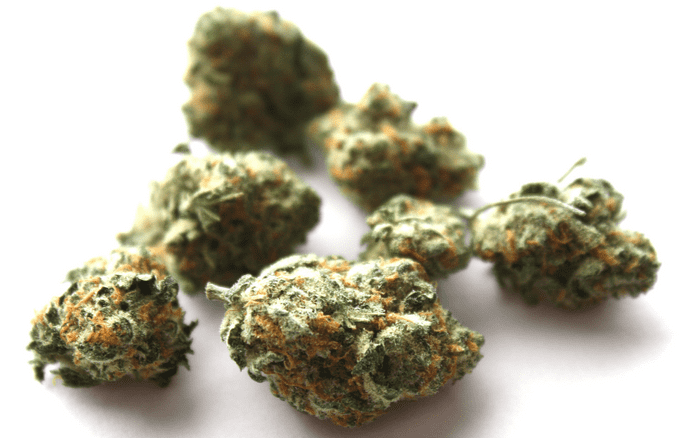 Cannatonic cannabis strain