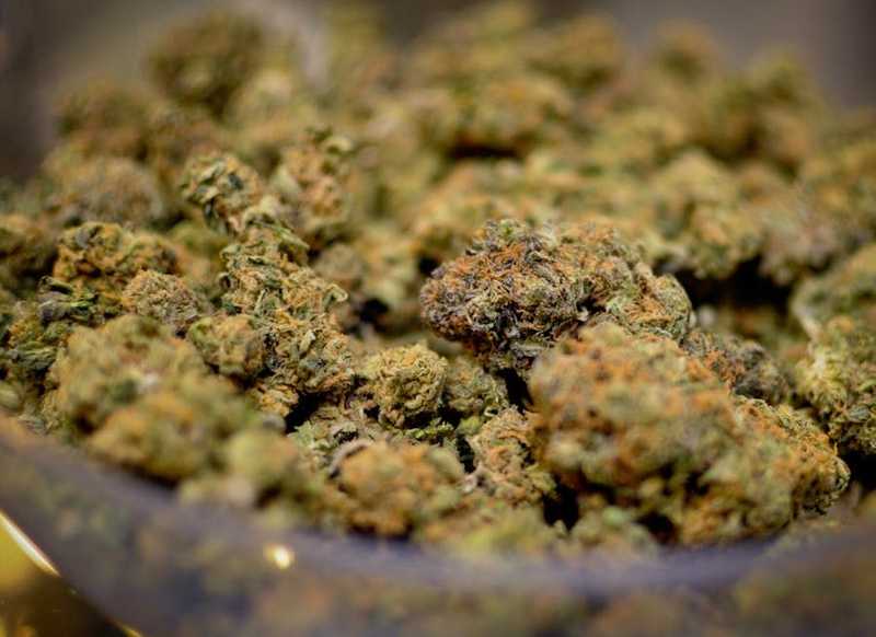 5 Marijuana Cannabinoids You Should Know
