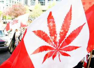 Cannabis Laws Scramble to Keep Up With Legalization