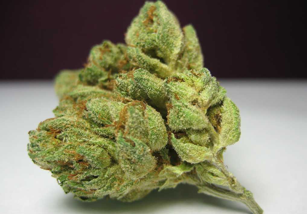 6 of the Strongest, HighTHC Cannabis Strains HelloMD