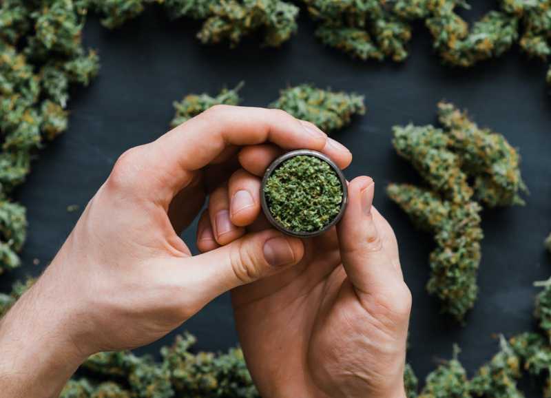 Will 2020 Usher in a Cannabis Shortage or Surplus?